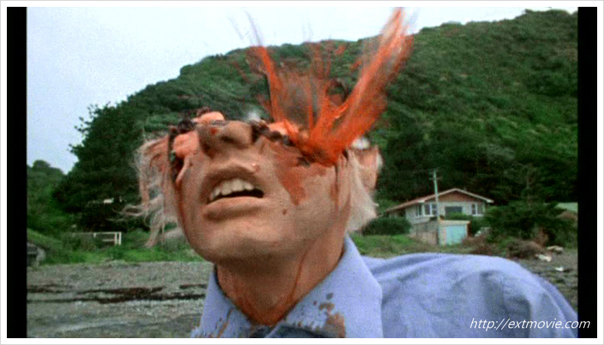 PDVD_002.jpg