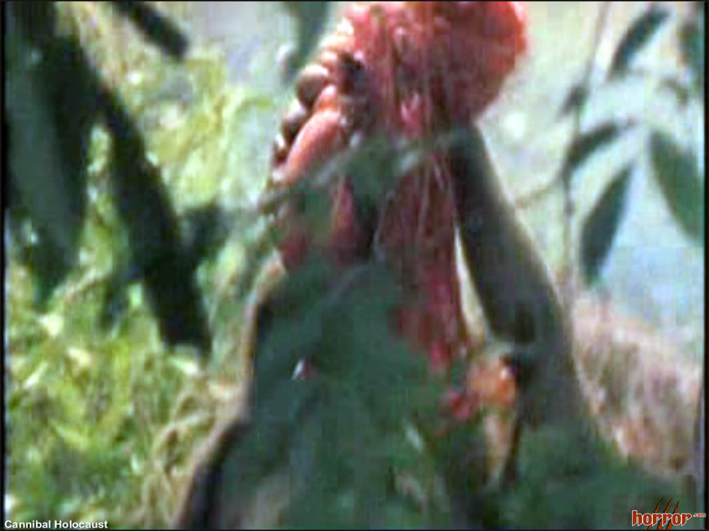 1cannibalholocaust_178.jpg