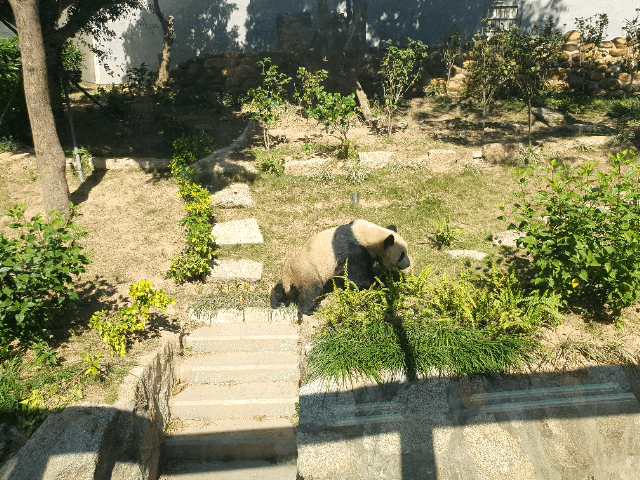 5일차8.gif