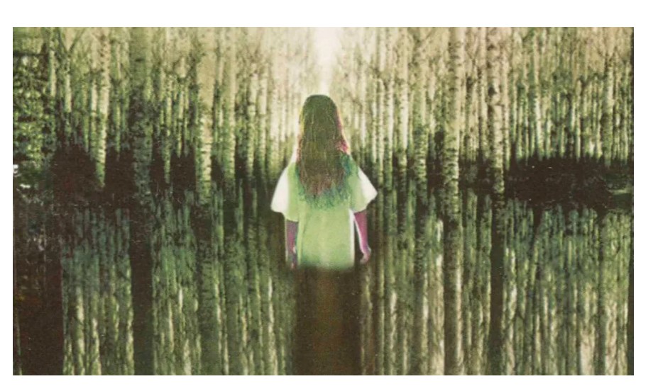 Screenshot 2026-02-15 011056.jpg