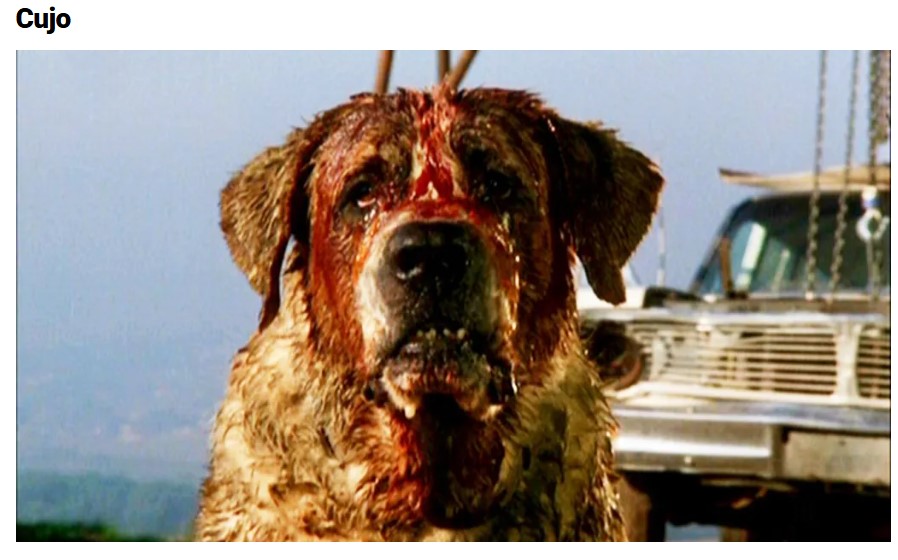 Screenshot 2026-02-15 011033.jpg