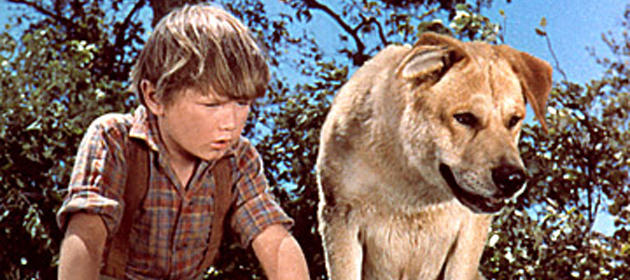 old-yeller-1957--00-630-75.jpg