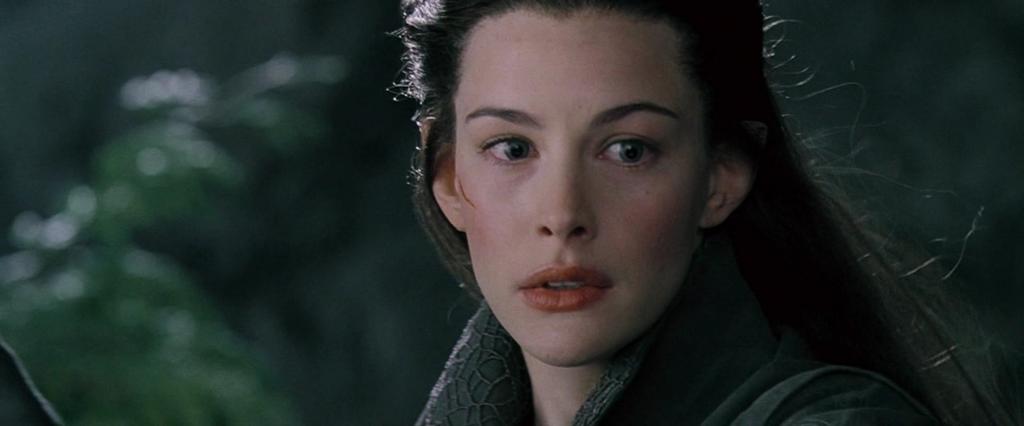 LOTR Fellowship of the Ring 158.jpg