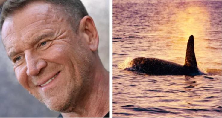 FireShot Capture 1849 - Renny Harlin Directing Orca Film ',Black Tides&#039, From &#039,Buried&#039, Writer_ - deadline.png.jpg