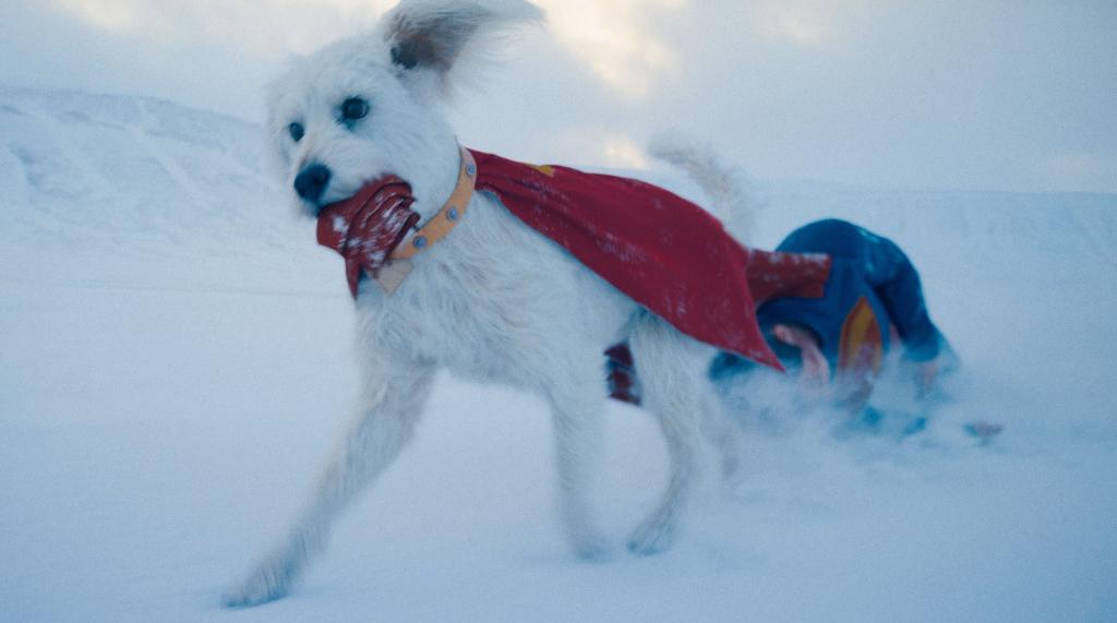 KryptoInspired by James Gunn',s real dog Ozu, Krypt (2).jpg