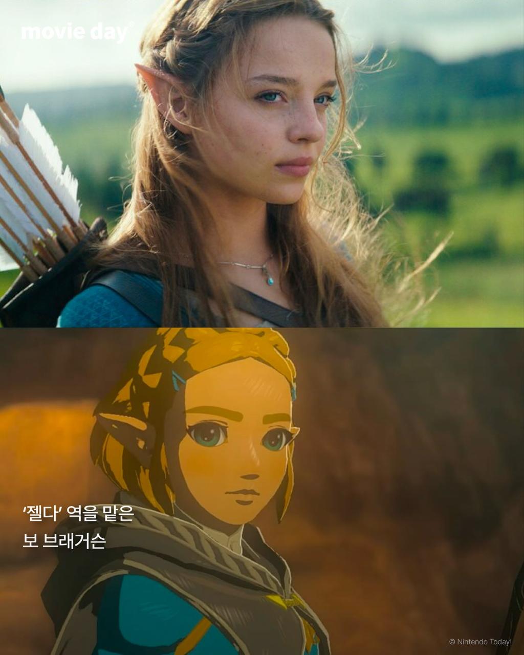 [image] - 8880806.jpg