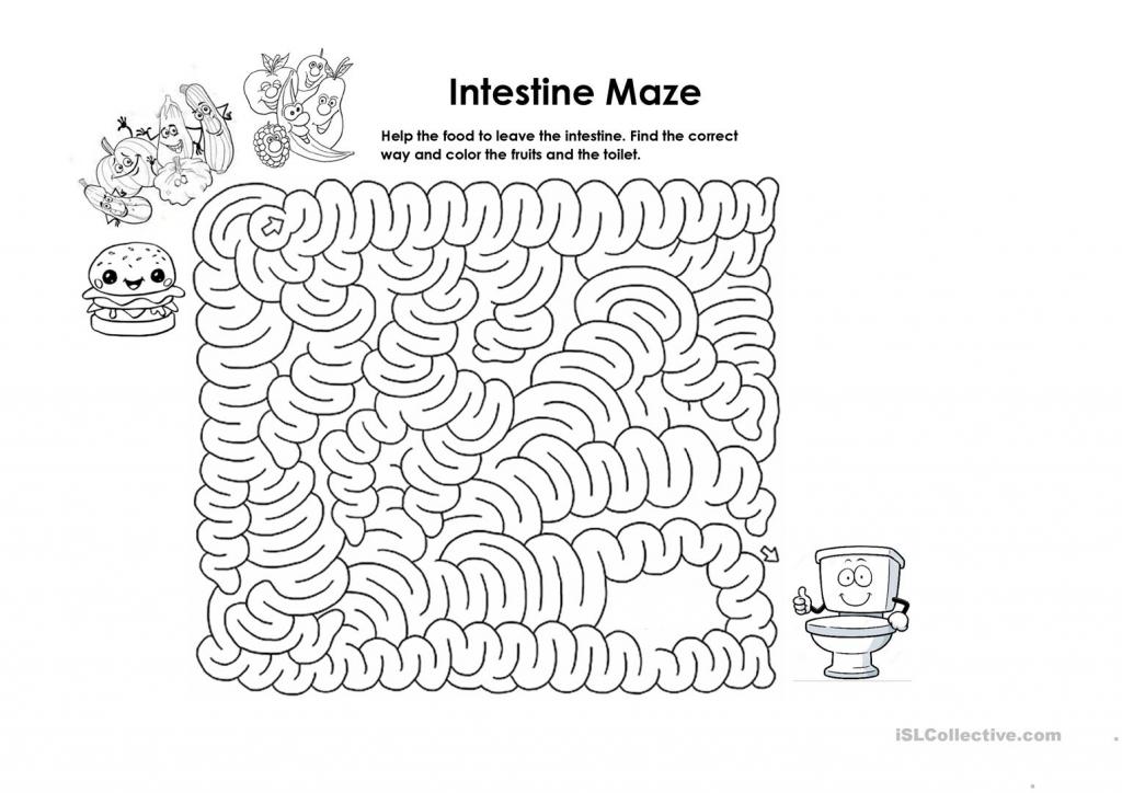 intestine.jpg