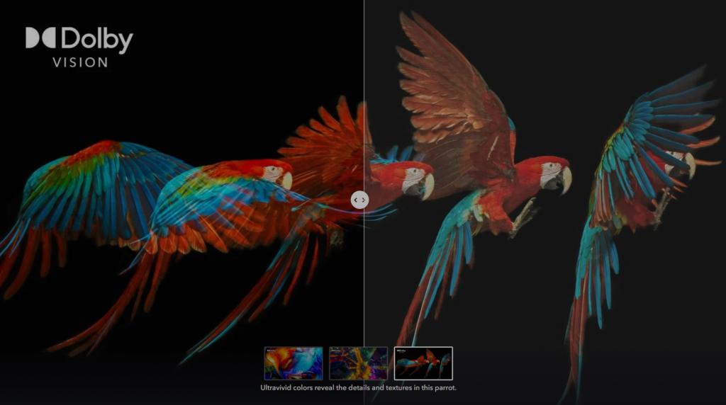 Dolby Vision - Dolby.png.jpg
