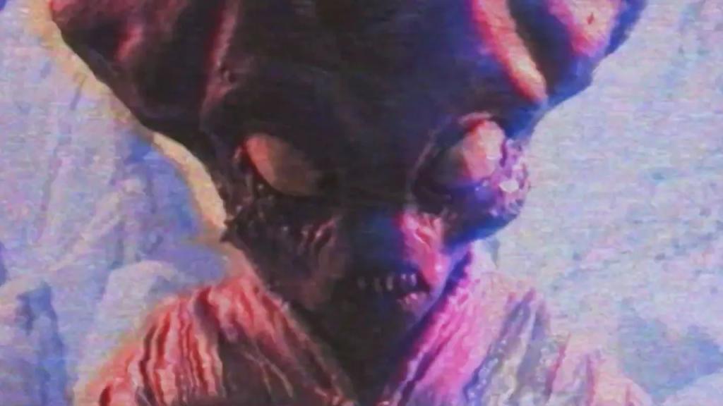 Terrestrial_still.webp.jpg