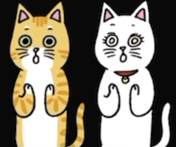 냥박수.gif