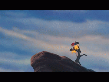 1562977924036.gif