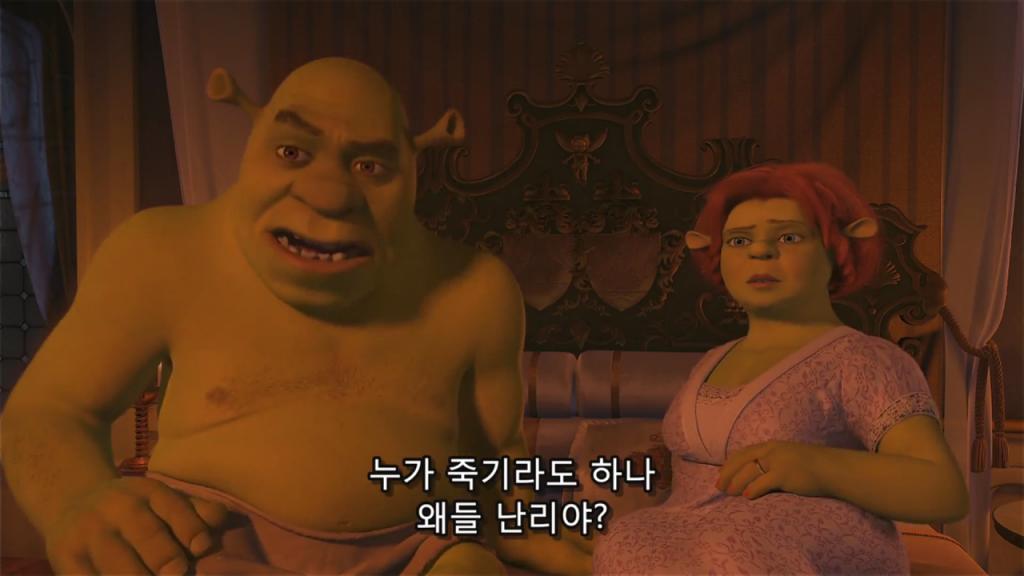 [SHANA]Shrek.the.Third.2007.1080p.BluRay.x264.mp4_000572154.png.jpg