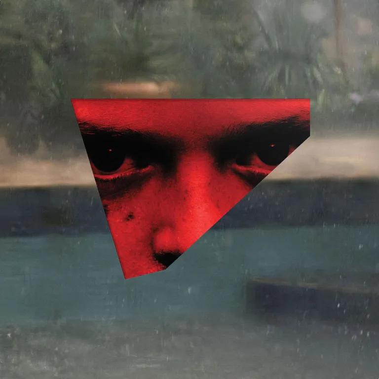 bringherback-vinyl1.webp.jpg