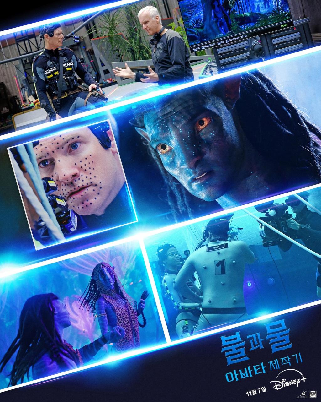 [image] - 9009774.jpg