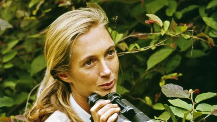 FireShot Capture 1098 - Jane Goodall',s Life Story Set for Big Screen Adaptation - deadline.com.png.jpg