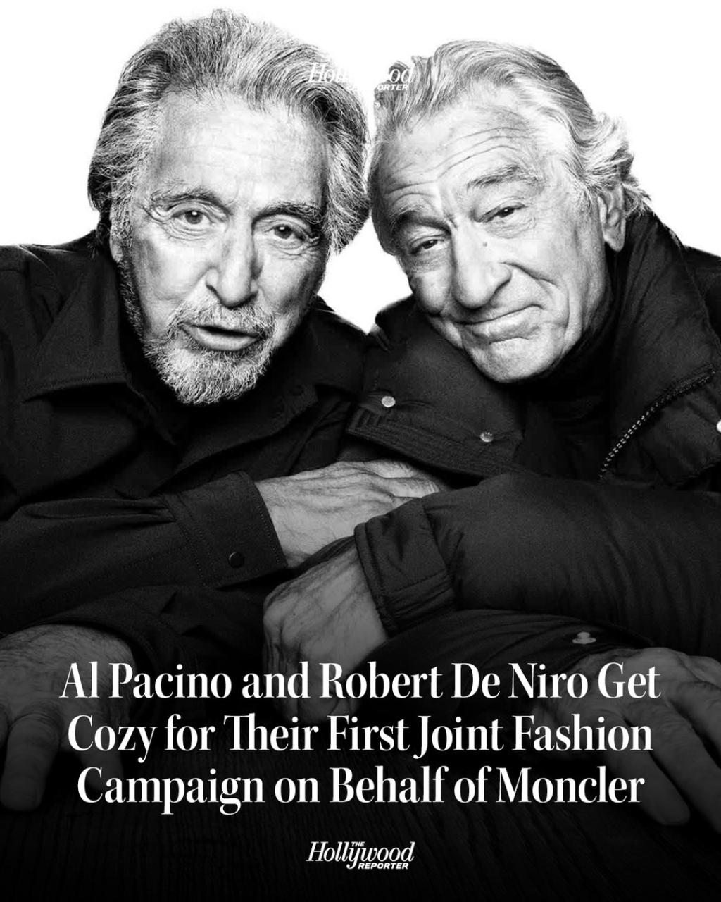 [image] - 8954276.jpg