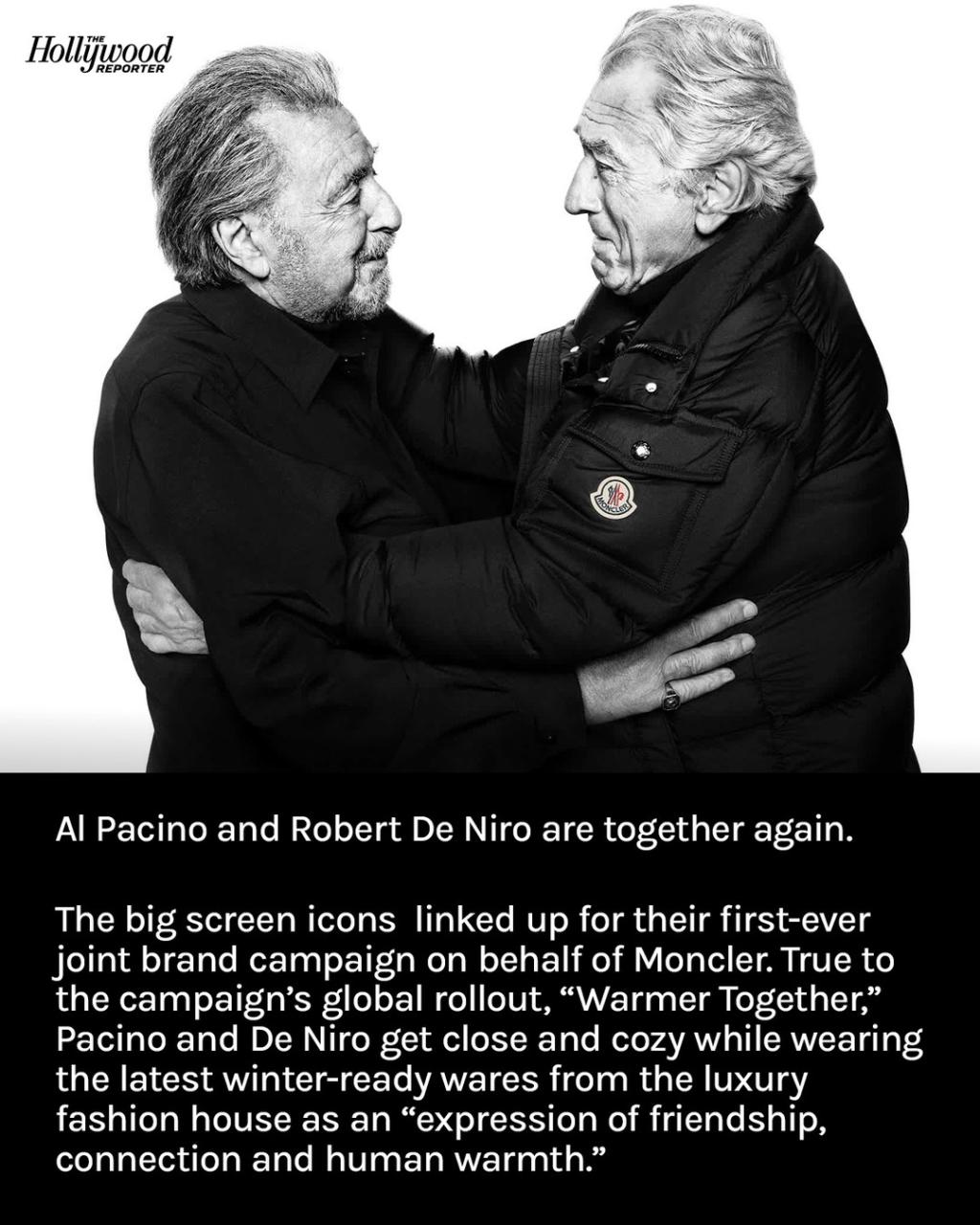 [image] - 2709203.jpg