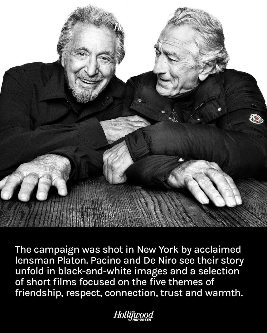 [image] - 4343891.jpg