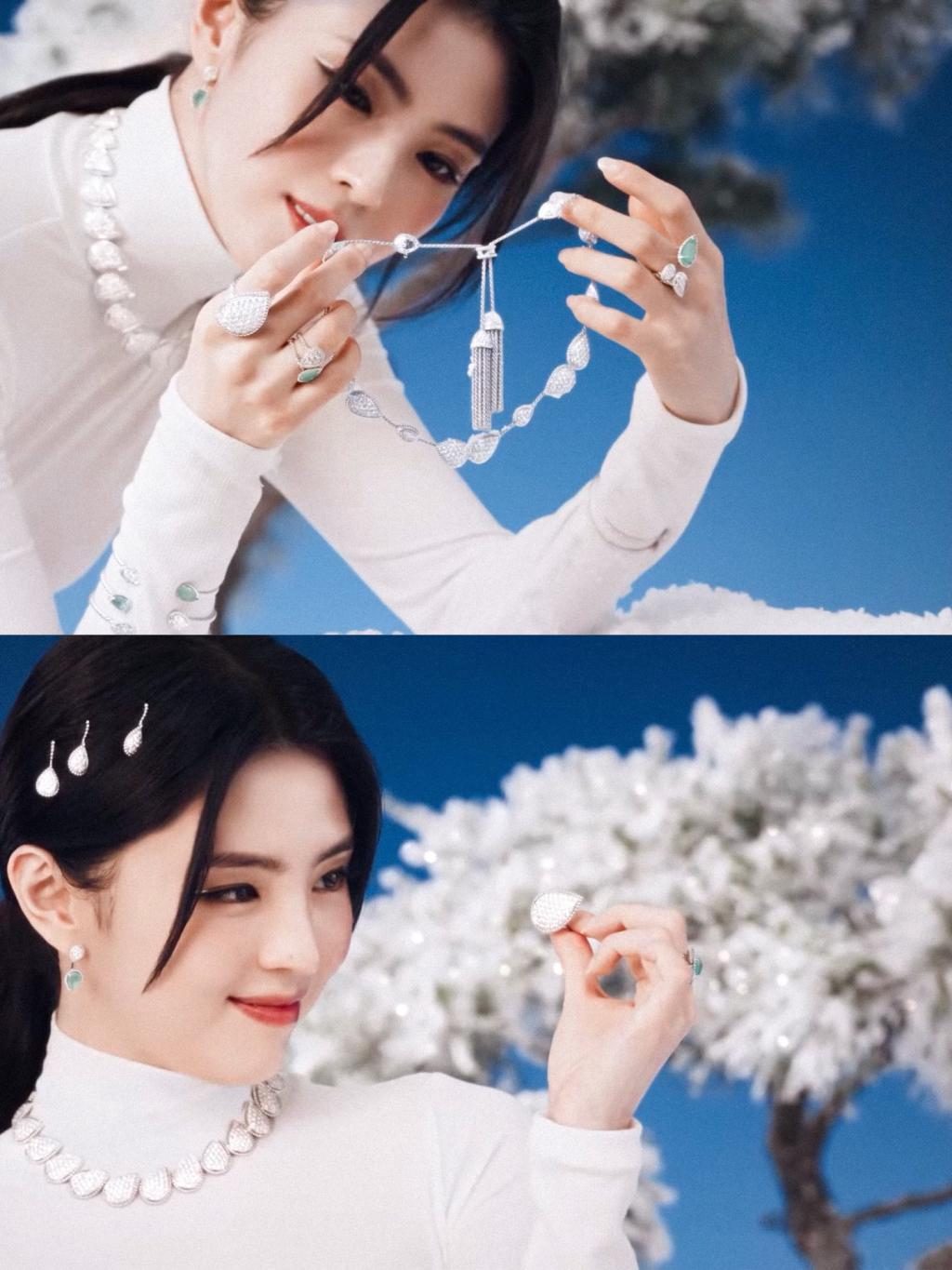 [image] - 5599895.jpg