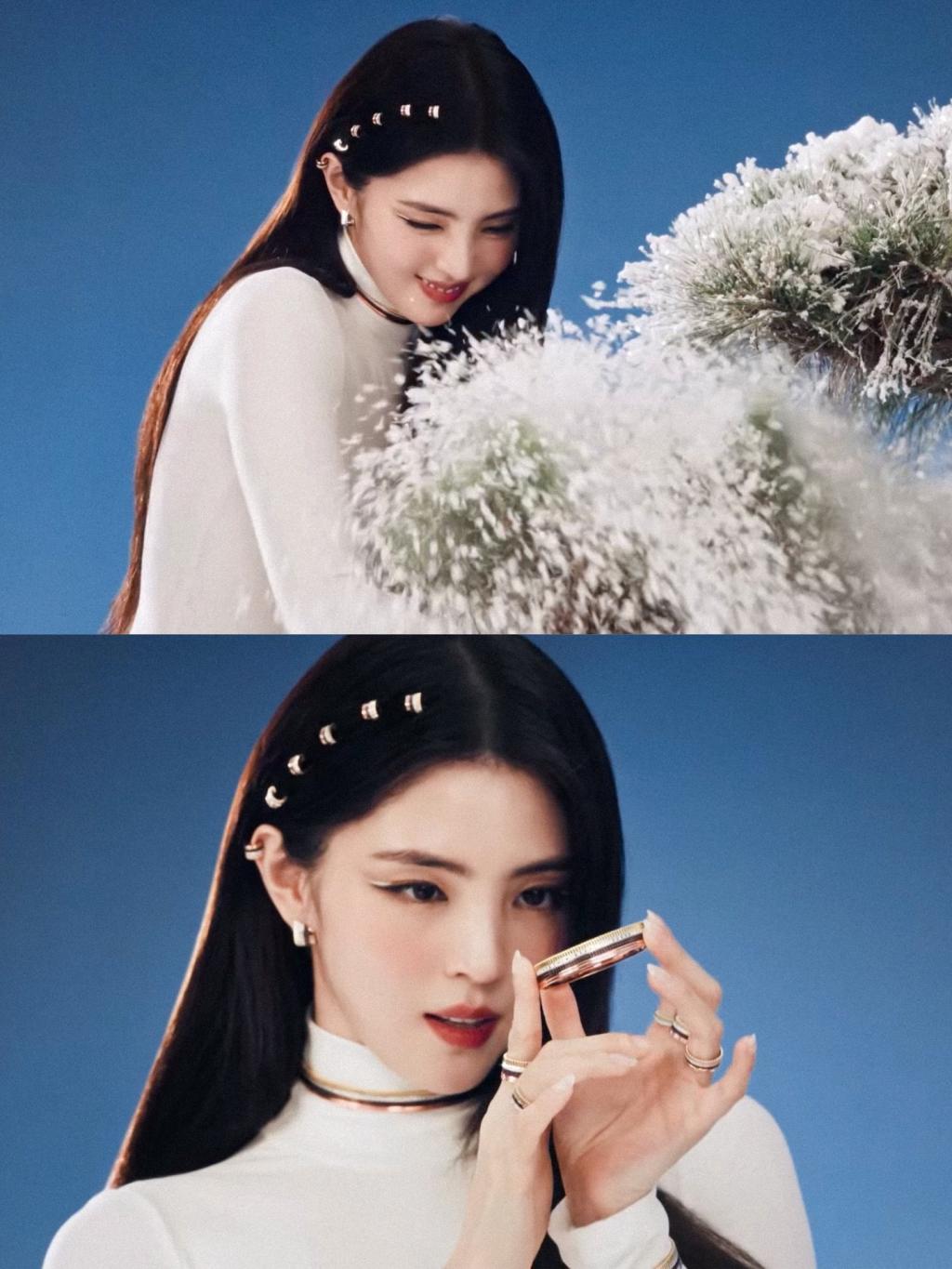 [image] - 3594474.jpg