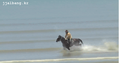 14967554722072.gif
