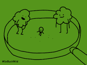 754d0cb4769c6c75818b97183e92cbbb.gif