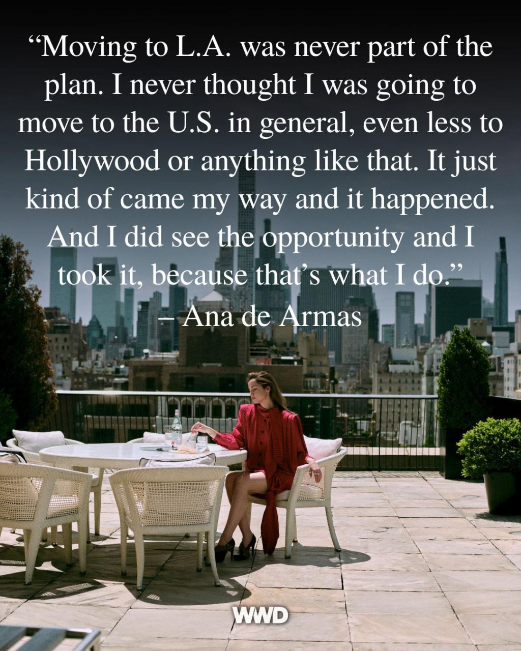 [image] - 4667840.jpg
