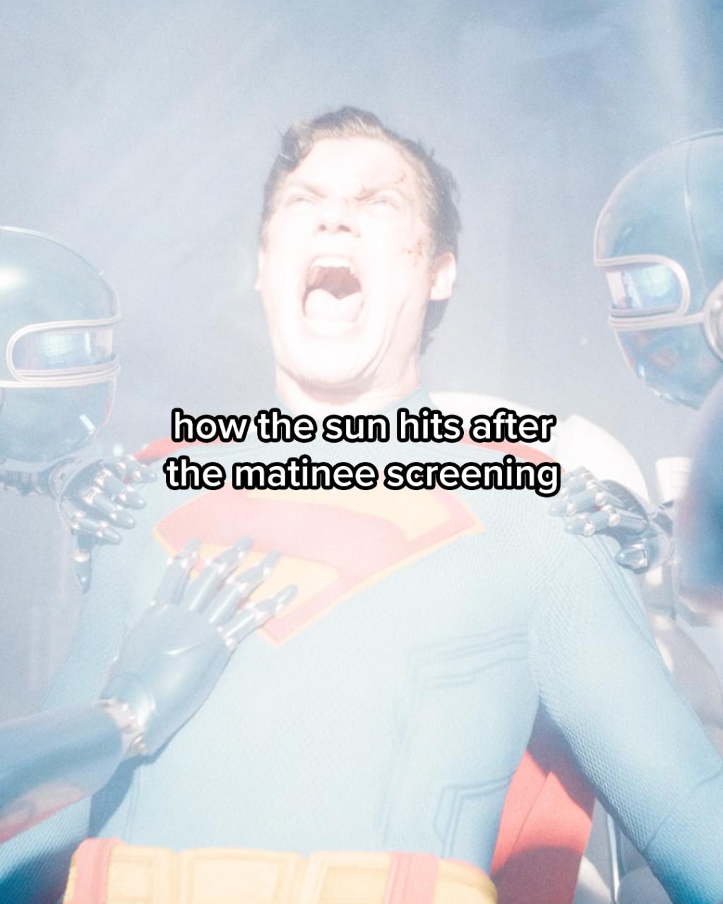 [image] - 7940382.jpg
