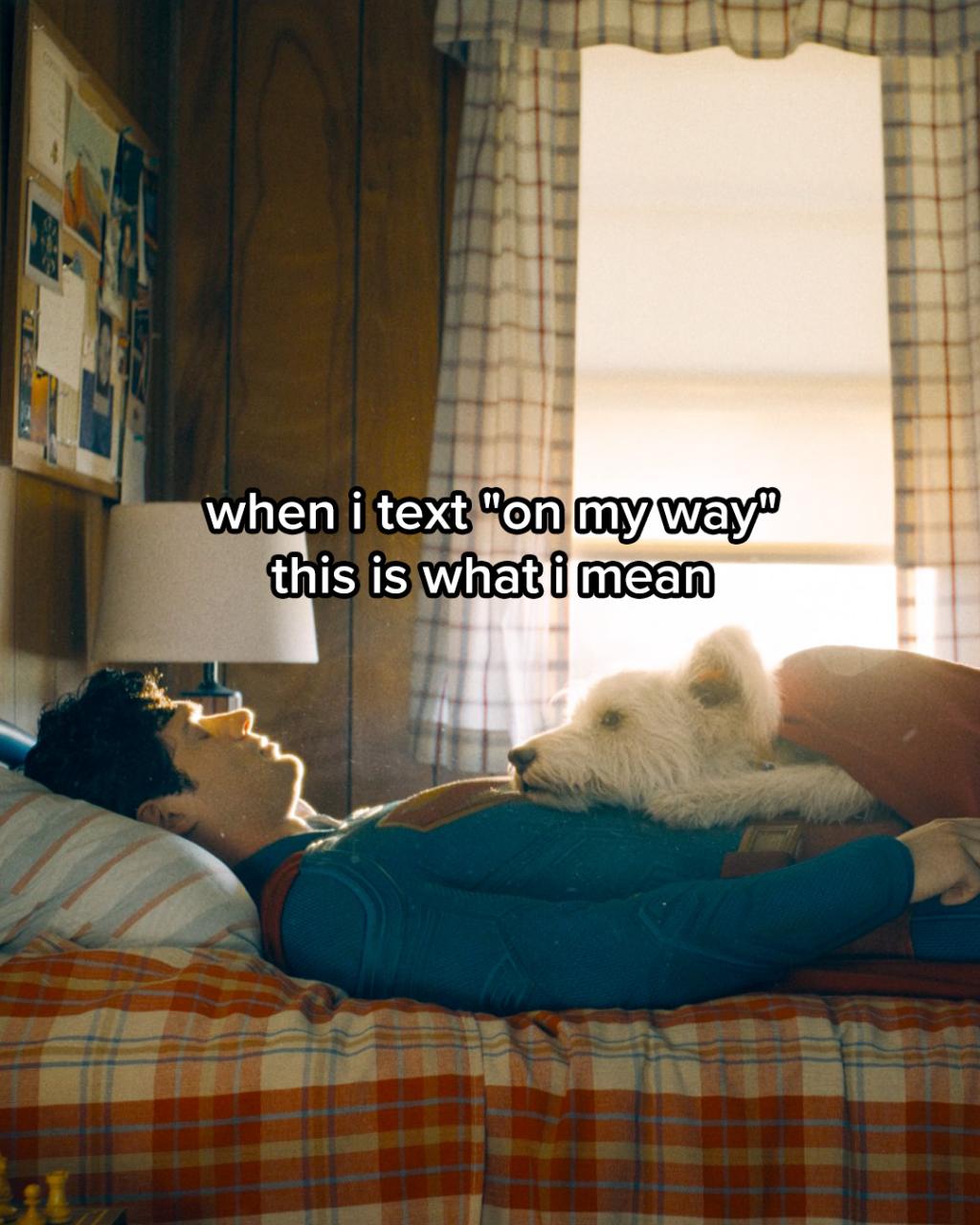 [image] - 4692132.jpg
