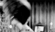 IMG_2749.gif
