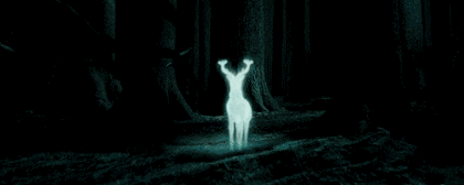 8CD5BF39-044D-42CA-BC4C-C03C96808922.gif