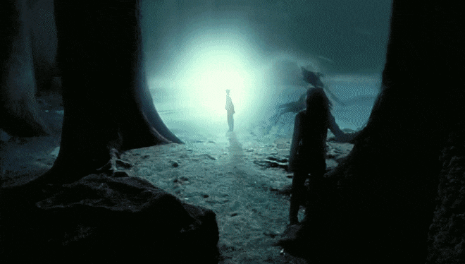 F86D086A-7ED5-4264-8EA6-D6BB6AD3E203.gif