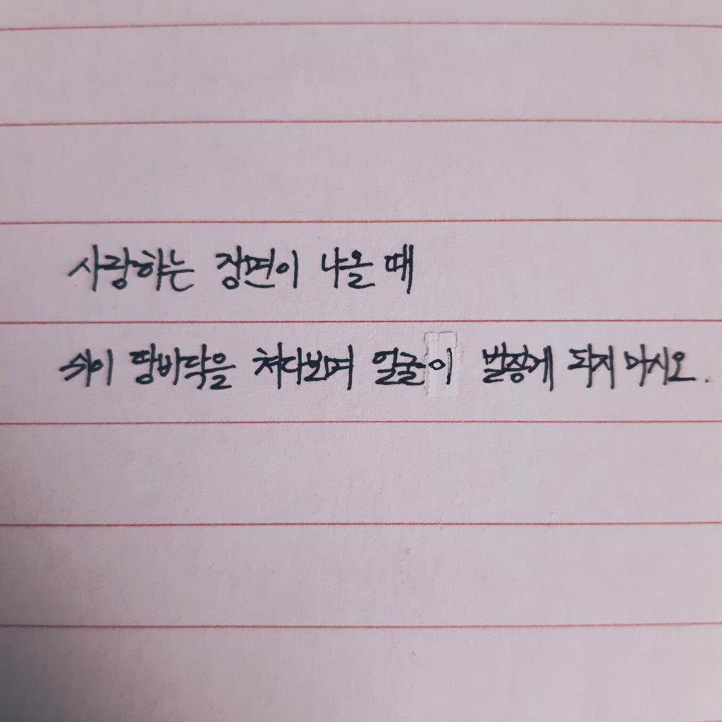 1610335323729.jpg