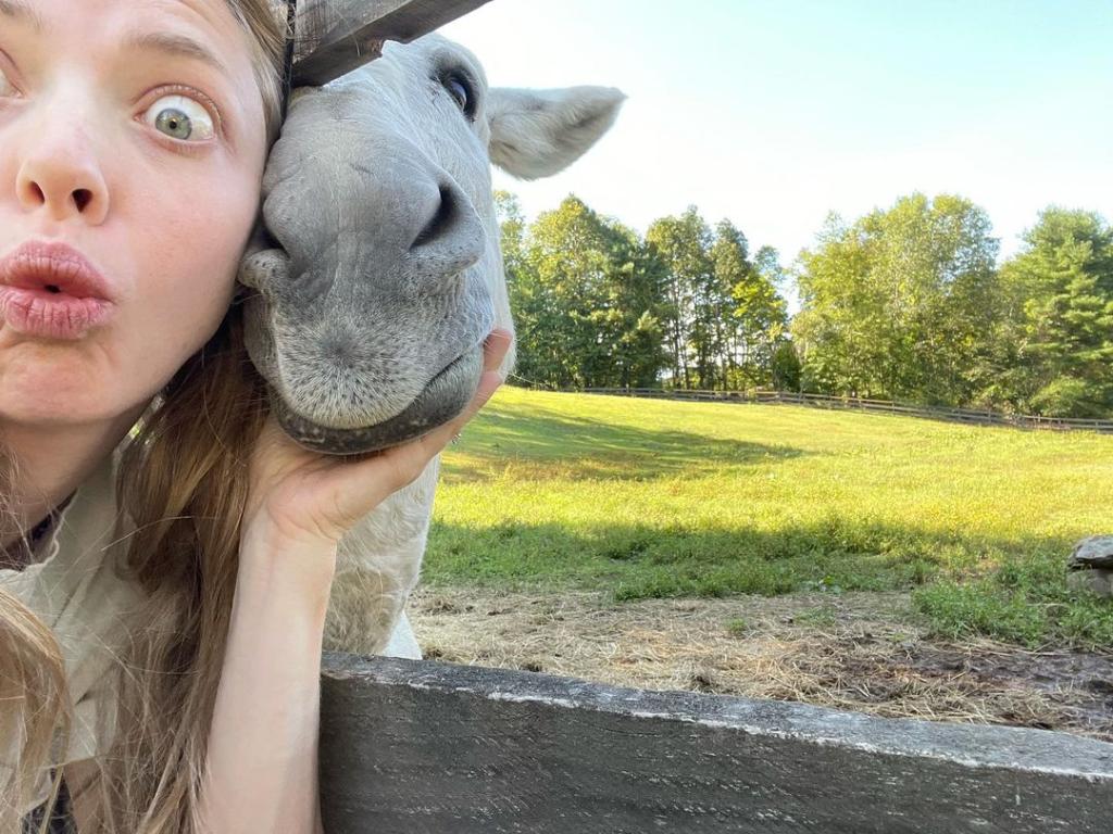 익스트림무비 아만다 사이프리드 Leonard Compound seating