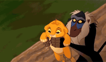 1562935352.gif