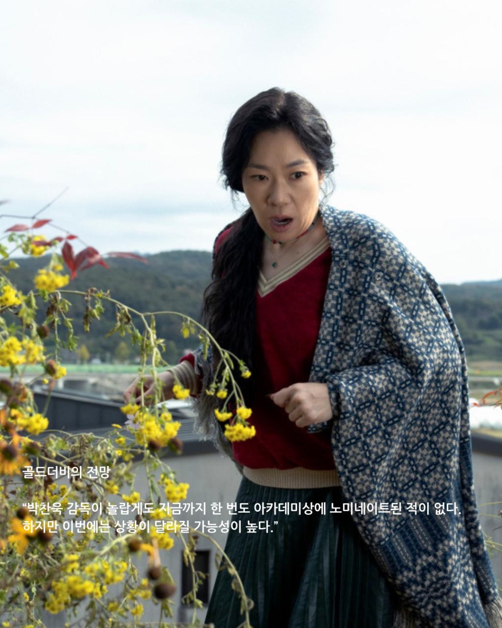 [image] - 2674038.jpg