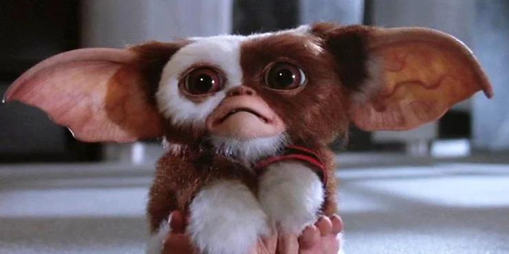 Gizmo-from-Gremlins.png.jpg