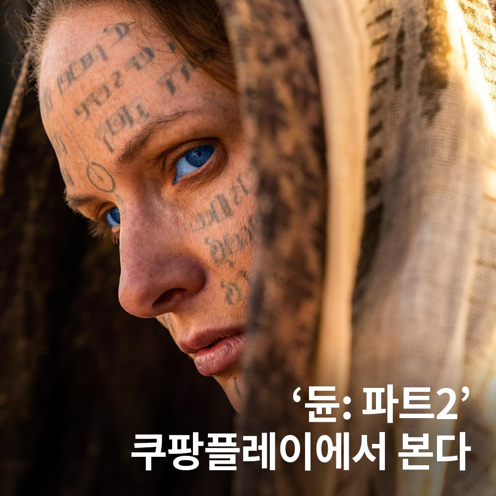 [image] - 3826136.jpg