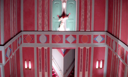 IMG_7206.gif