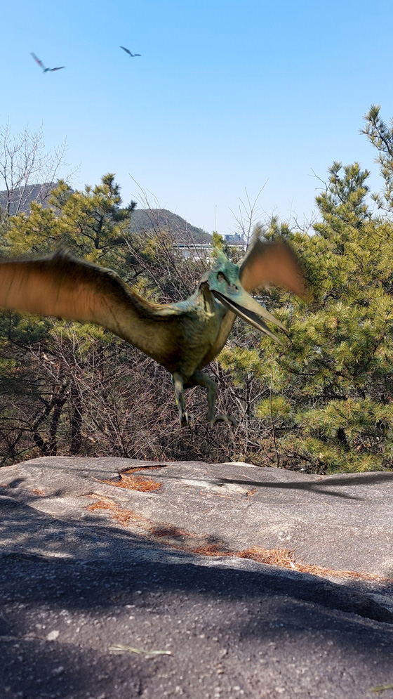 South_Korea_Pteranodon.jpg