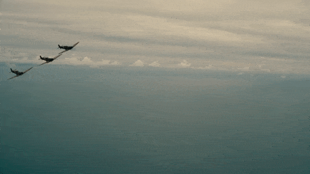 ThinJauntyEnglishsetter-max-14mb.gif