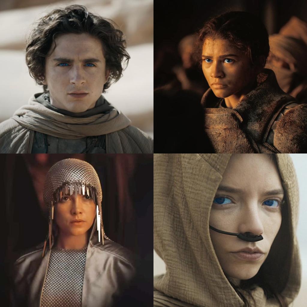 • ',DUNE_ MESSIAH&#039, _ Timothée Chalamet, Zendaya, Fl.jpg