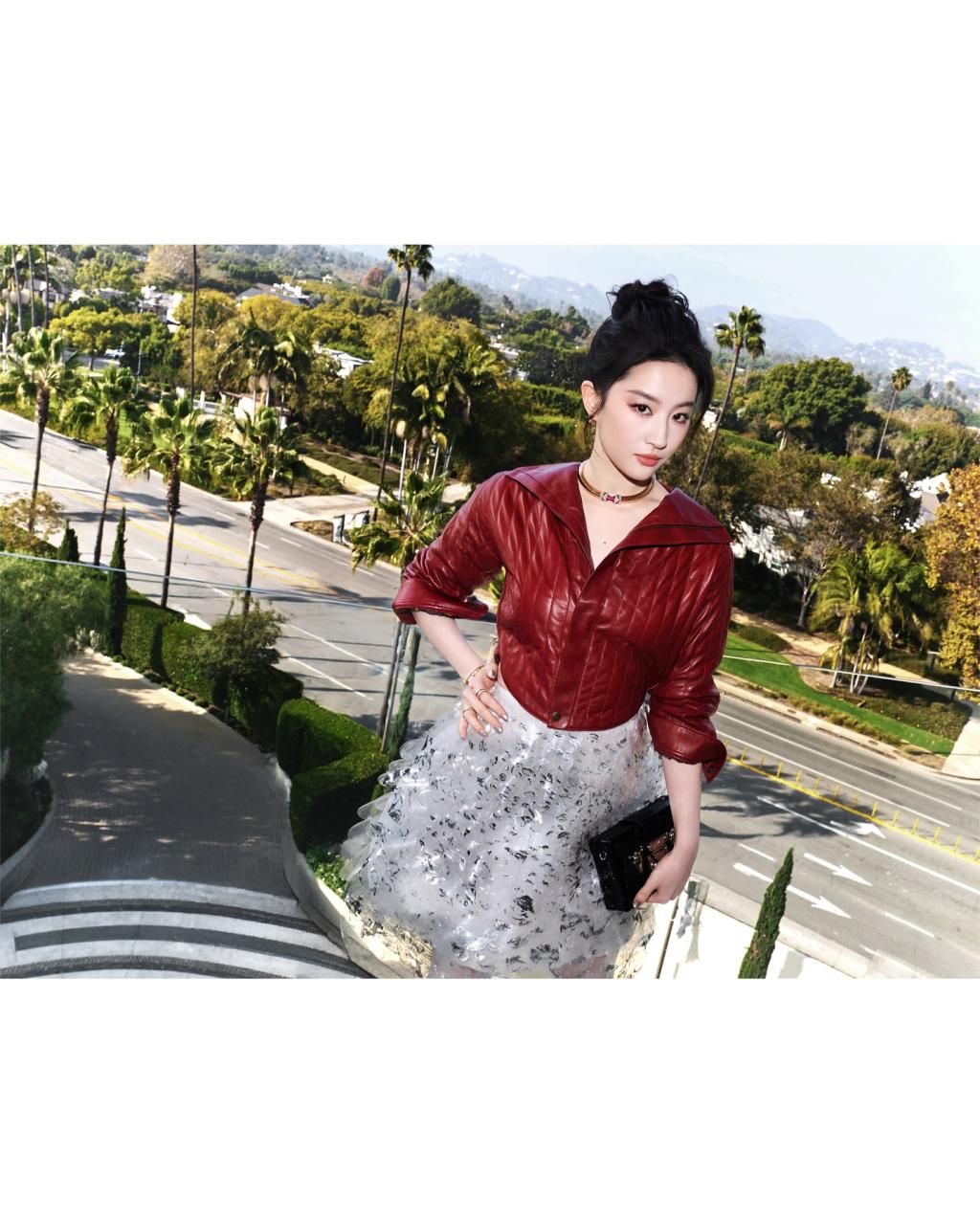 [image] - 2340854.jpg