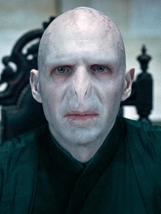 Voldemort.png.jpg