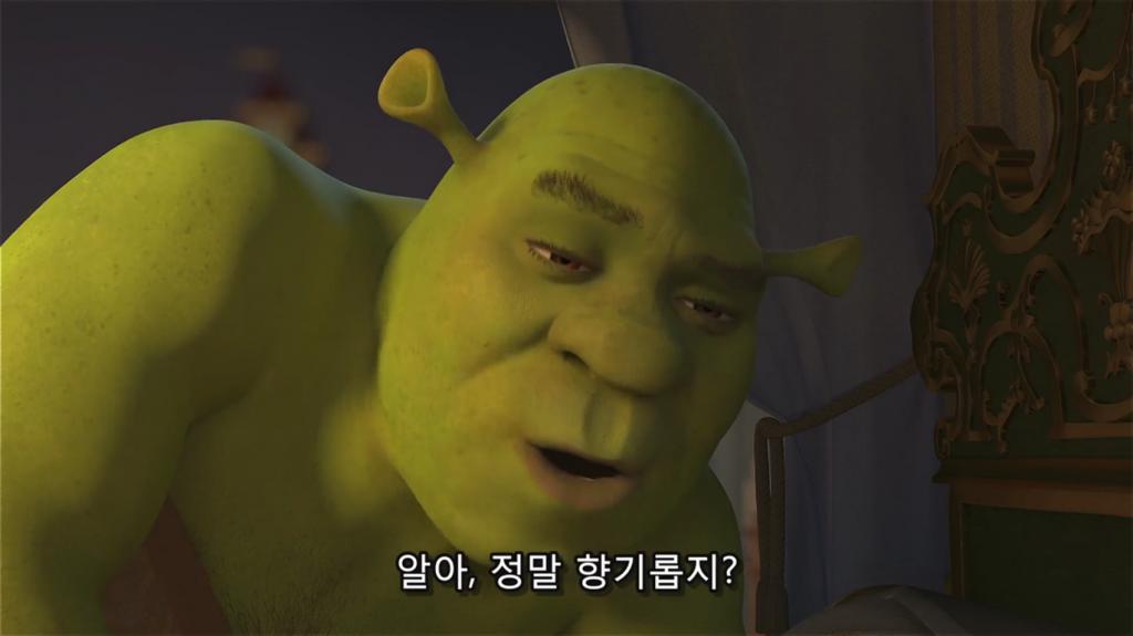 [SHANA]Shrek.the.Third.2007.1080p.BluRay.x264.mp4_000226100.png.jpg