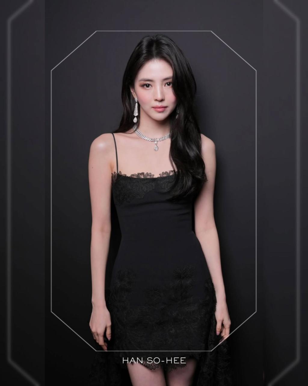 [image] - 9606151.jpg