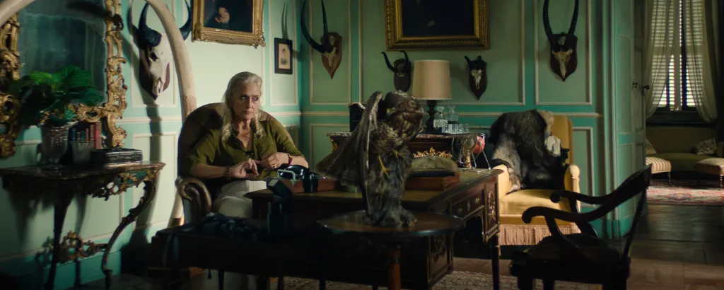 ferine-exclusive4-scaled.webp