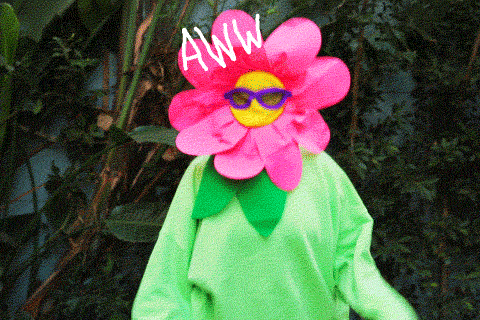 4cd50e23ba6e2f6149e42a325c5fd626.gif