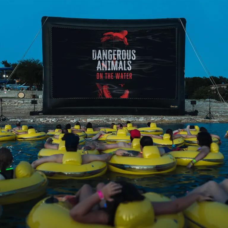 dangerousnaimalsonthewater.webp.jpg