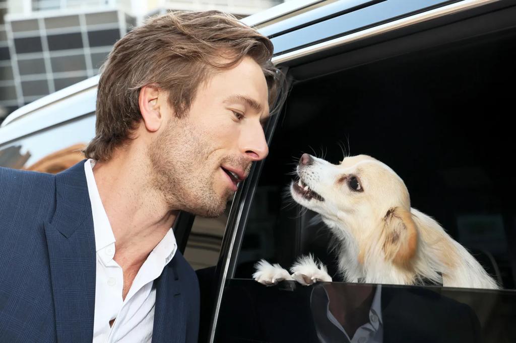 Glen-Powell-Dog-Brisket-071724-94472211c23643c1bba87287779e1dfd.webp.jpg